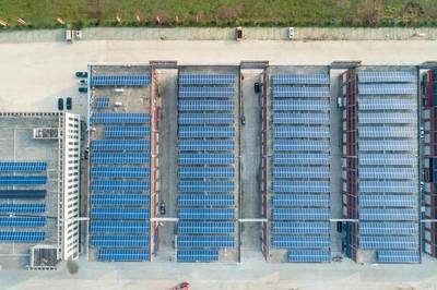 Large-scale mining farm with cooling infrastructure