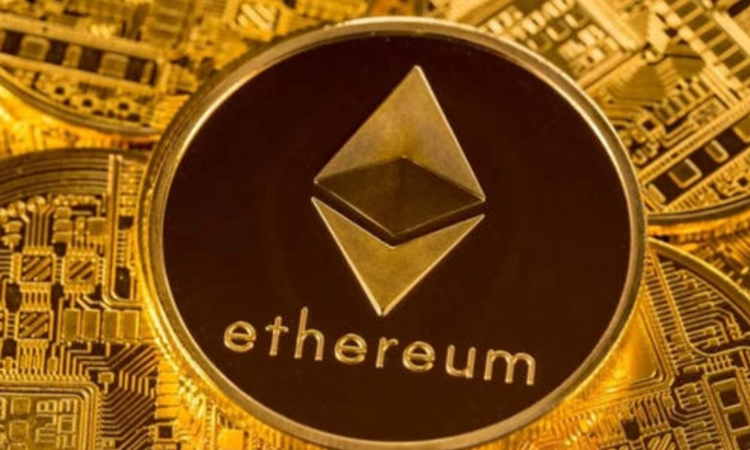 Hosted mining farm facility with rows of mining machines