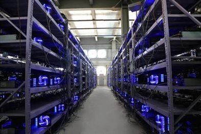 A vast mining farm humming with the collective power of countless miners.